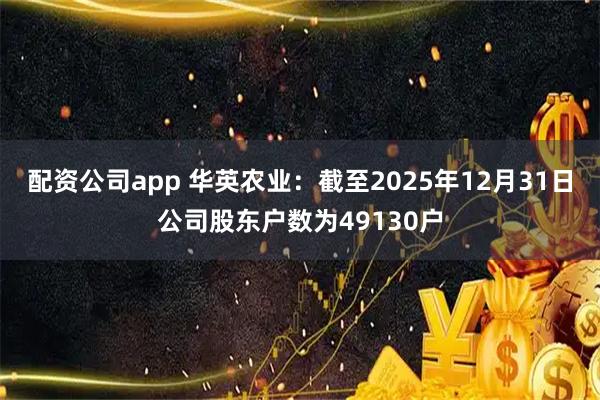 配资公司app 华英农业：截至2025年12月31日公司股东户数为49130户